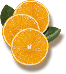 orange fond